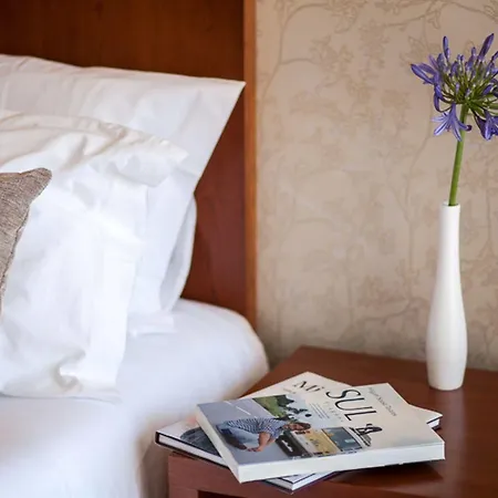 Amoras Proença-a-Nova