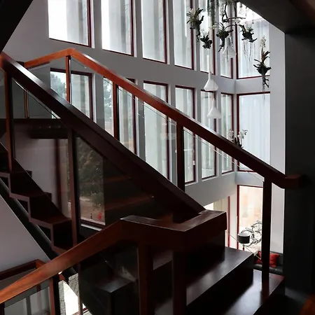 Amoras Proença-a-Nova