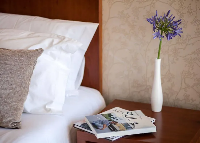 Amoras Proença-a-Nova