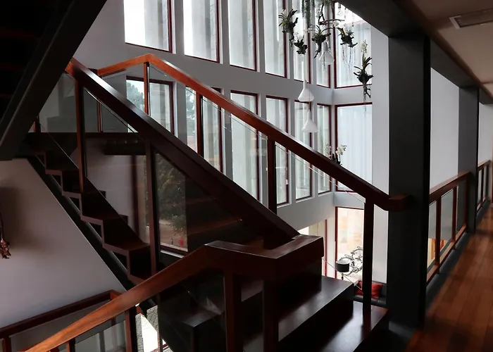 Amoras Proença-a-Nova